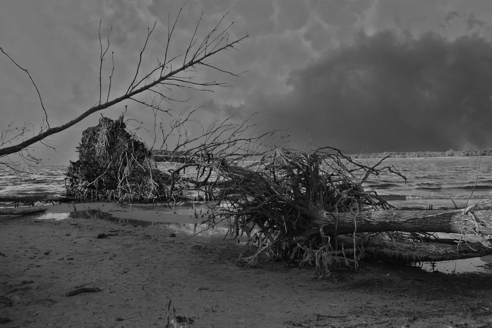 Фотографія Трапляються в житті чорно-білі смуги. / Viktor Kucherenko / photographers.ua