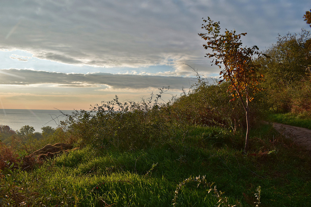 Фотографія Над морем. / Viktor Kucherenko / photographers.ua