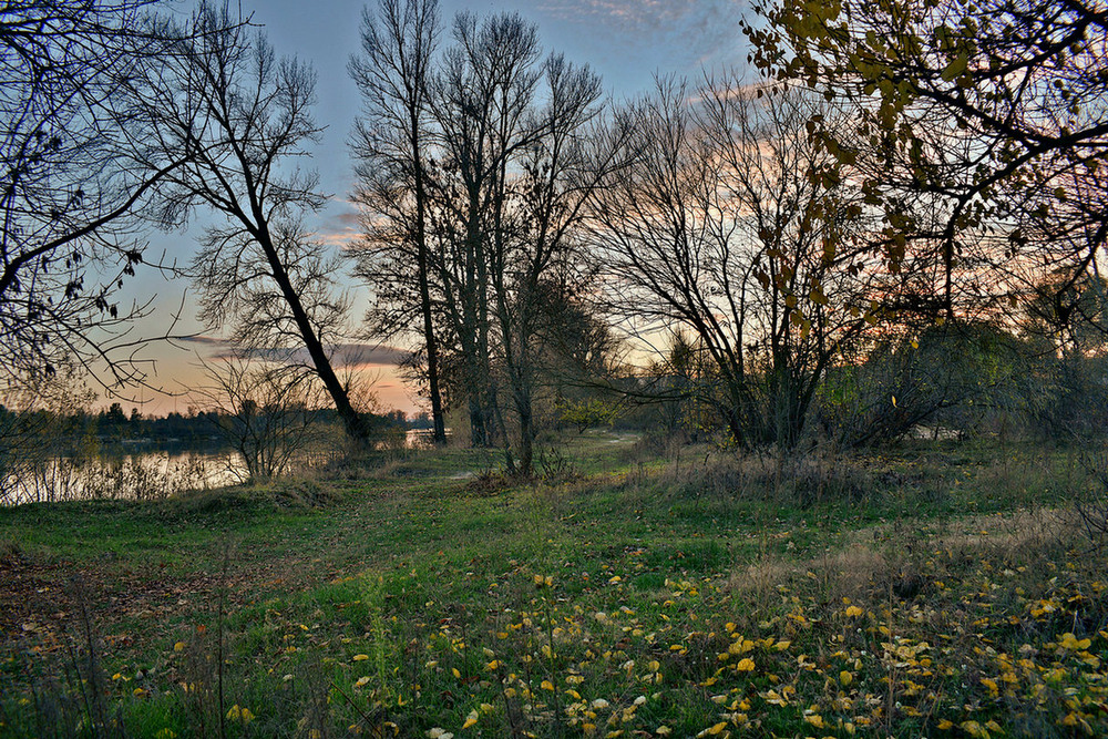 Фотографія Останні фарби осені. / Viktor Kucherenko / photographers.ua