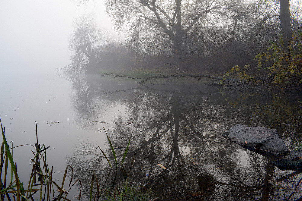 Фотографія Сумний листопад. / Viktor Kucherenko / photographers.ua
