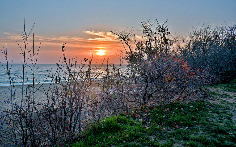 Фотографія Між осінню і зимою. / Viktor Kucherenko / photographers.ua