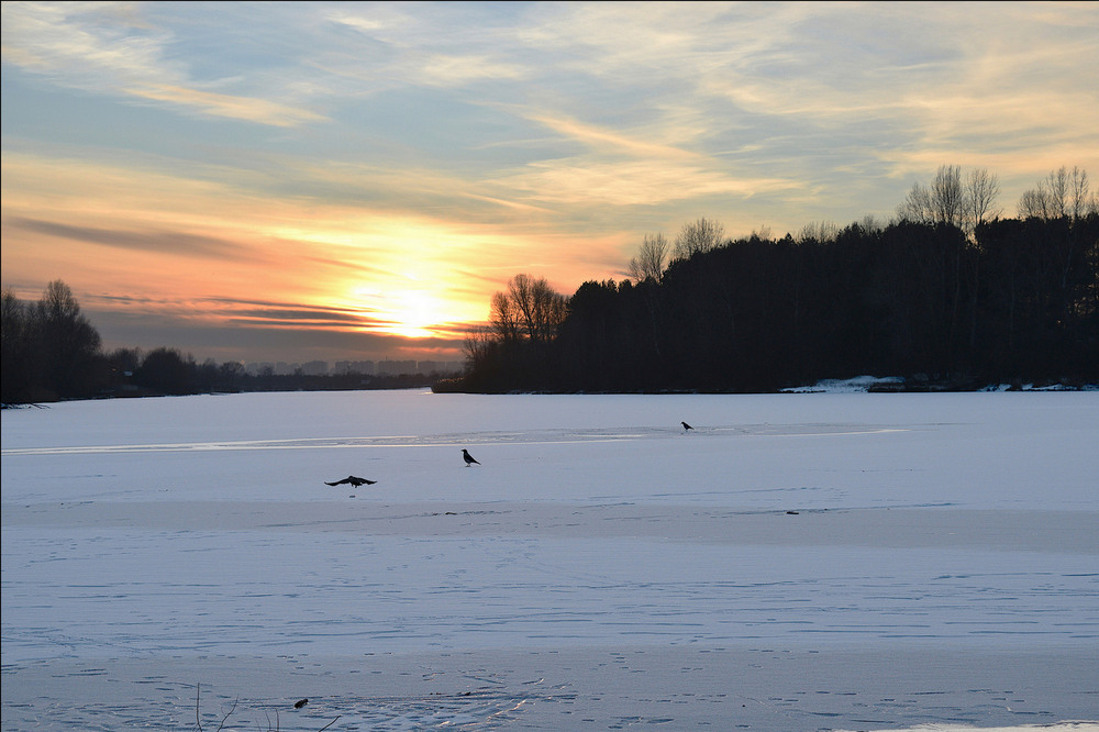 Фотографія Прогулянка по кризі. / Viktor Kucherenko / photographers.ua