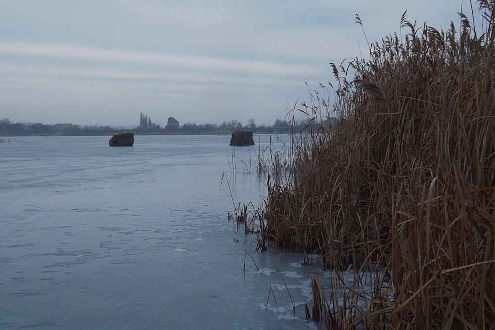 Фотографія Йшла зима, хозяйнувала, річку кригою скувала... / Viktor Kucherenko / photographers.ua