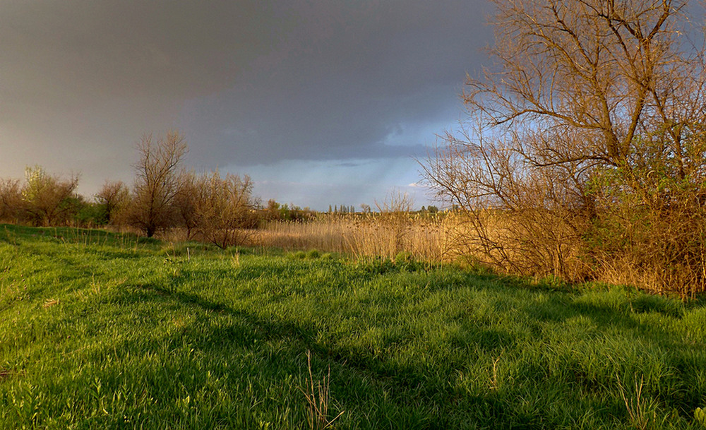 Фотографія Перед зливою. / Viktor Kucherenko / photographers.ua