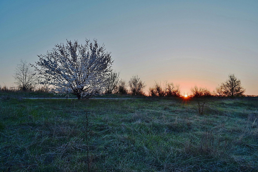 Фотографія Морозний квітневий ранок. / Viktor Kucherenko / photographers.ua