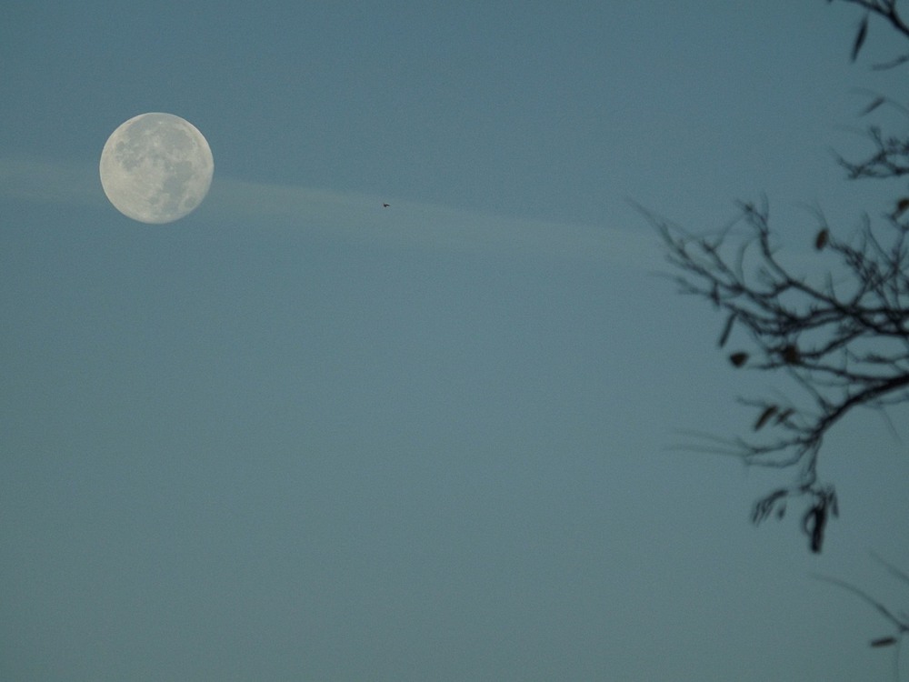 Фотографія Місячний ранок. / Viktor Kucherenko / photographers.ua