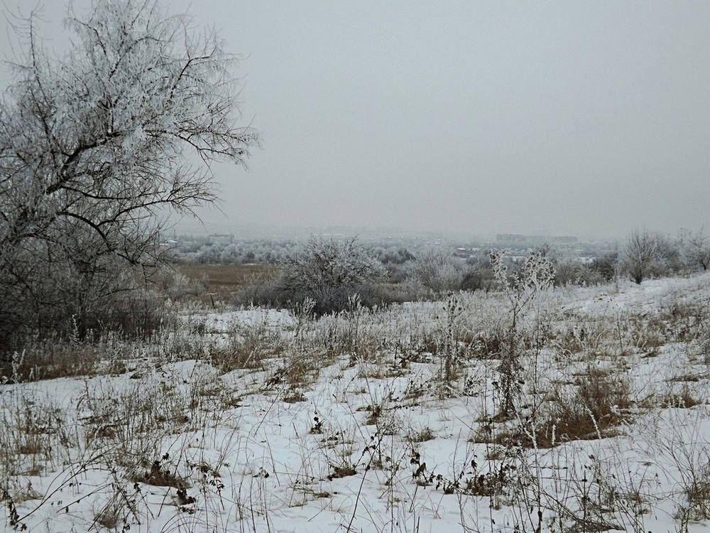 Фотографія Зимовий серпанок. / Viktor Kucherenko / photographers.ua