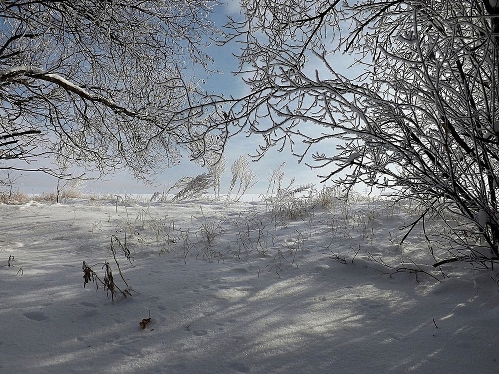 Фотографія Зимові тіні / Viktor Kucherenko / photographers.ua
