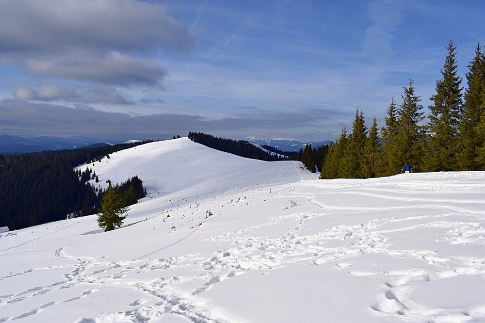Фотографія Снігохідна траса на горі Длиній. / Viktor Kucherenko / photographers.ua