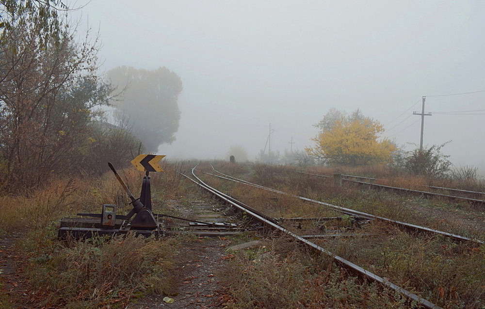 Фотографія Про вибір шляху. / Viktor Kucherenko / photographers.ua