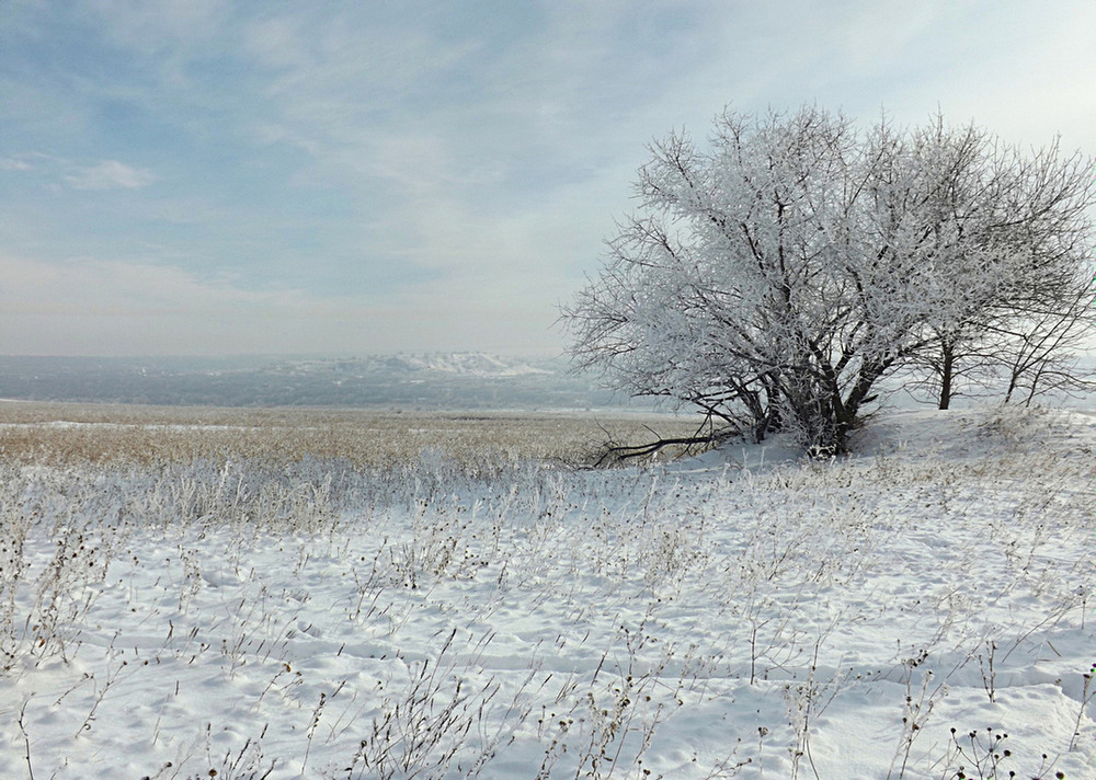 Фотографія Зимовий серпанок / Viktor Kucherenko / photographers.ua