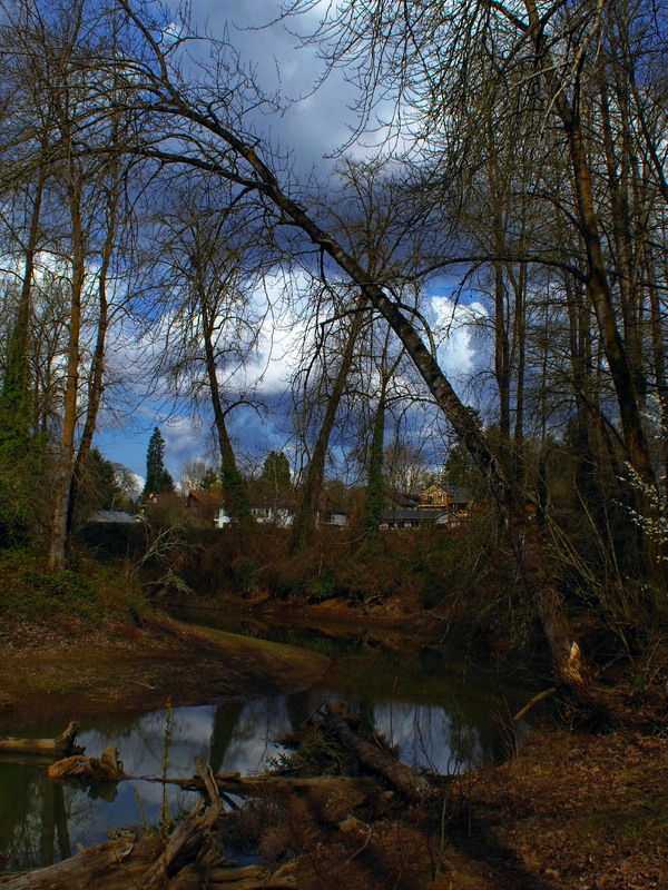 Фотографія Park / photoved / photographers.ua