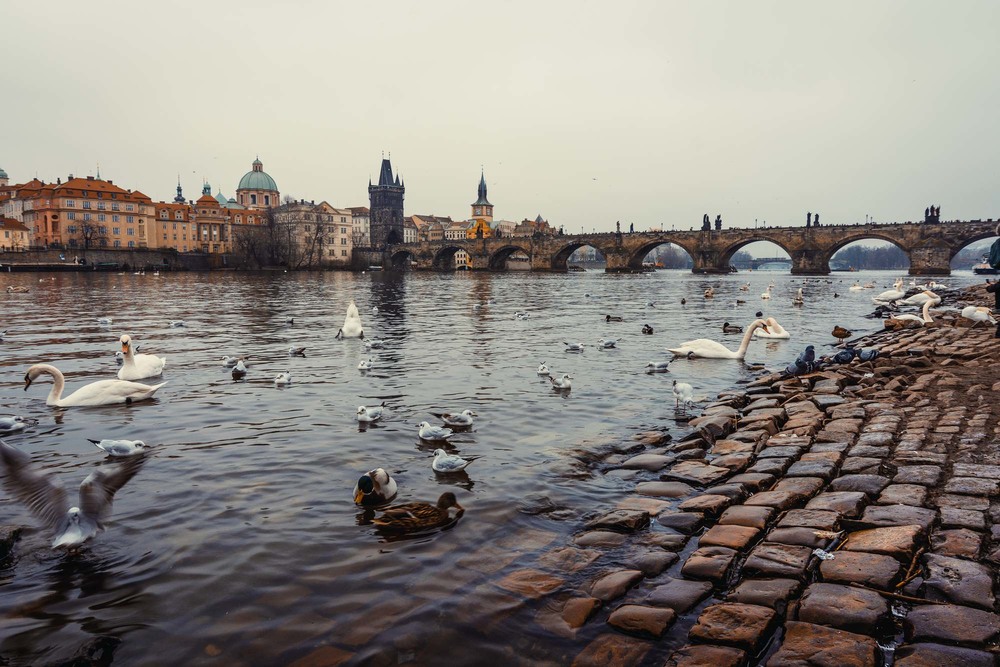 Фотографія Прага в январе / Виталий Дорошенко / photographers.ua