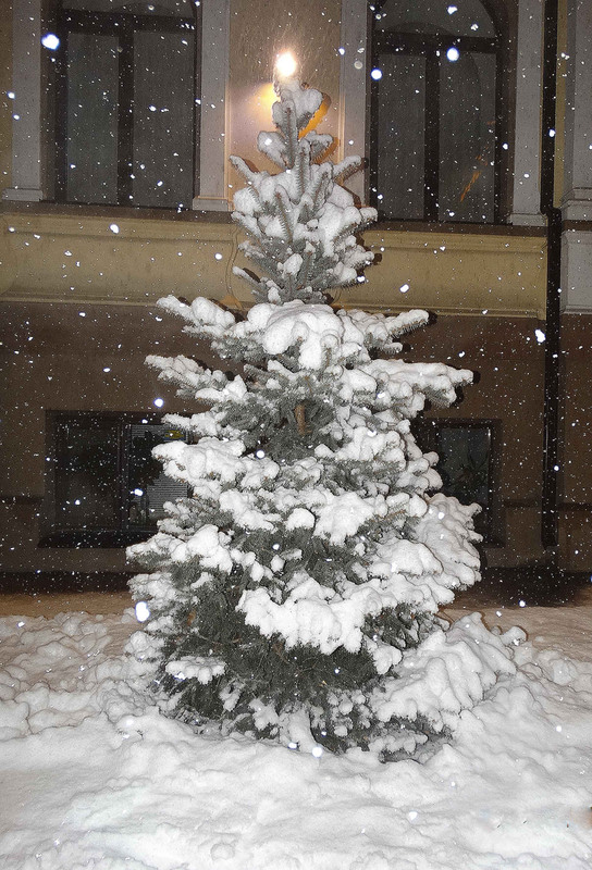 Фотографія С первым снегом, днепряне! / Лидия Овчарик / photographers.ua