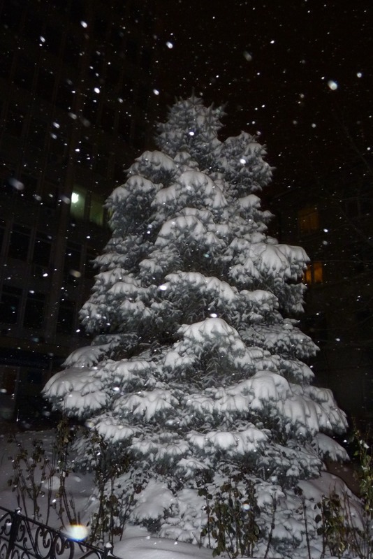 Фотографія Падает, падает снег... / Лидия Овчарик / photographers.ua