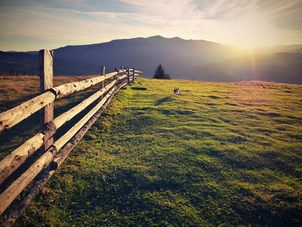 Фотографія З мого краю / Ярослав Боклажук / photographers.ua