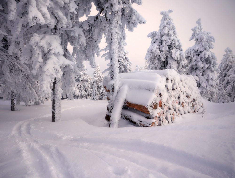 Фотографія ... / Ярослав Боклажук / photographers.ua
