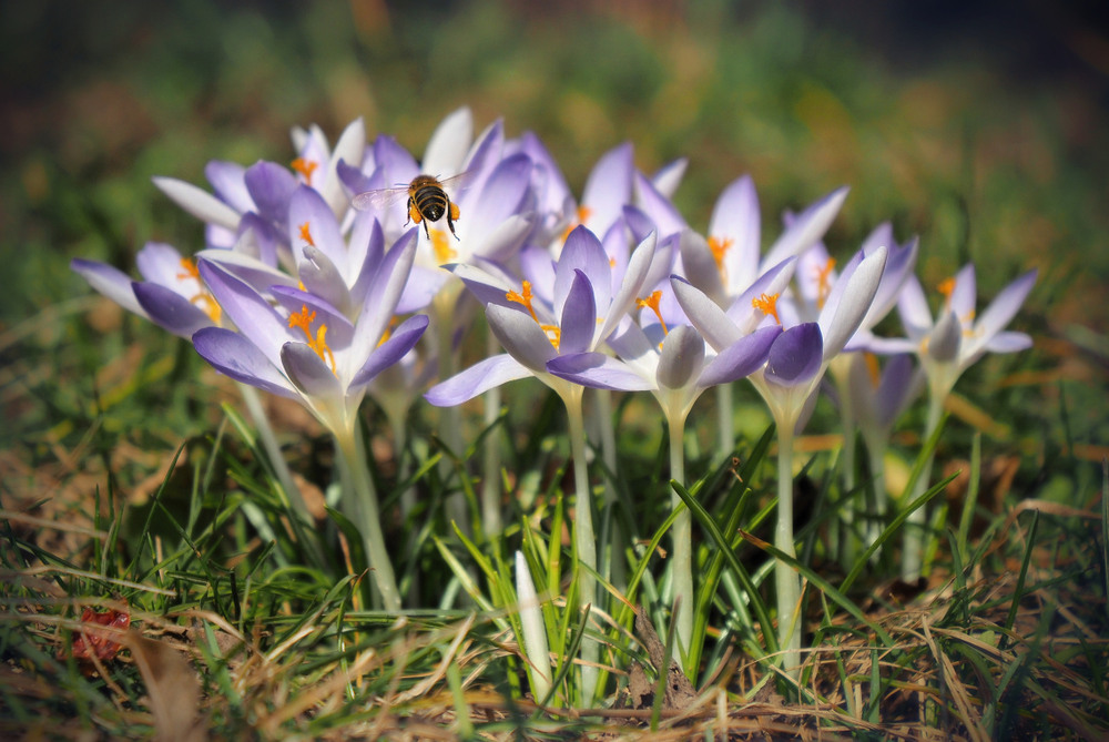 Фотографія ... для жінок. / Ярослав Боклажук / photographers.ua