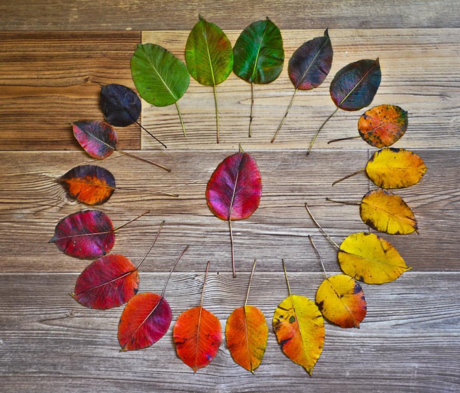 Фотографія Разное / Ali Memetov / photographers.ua