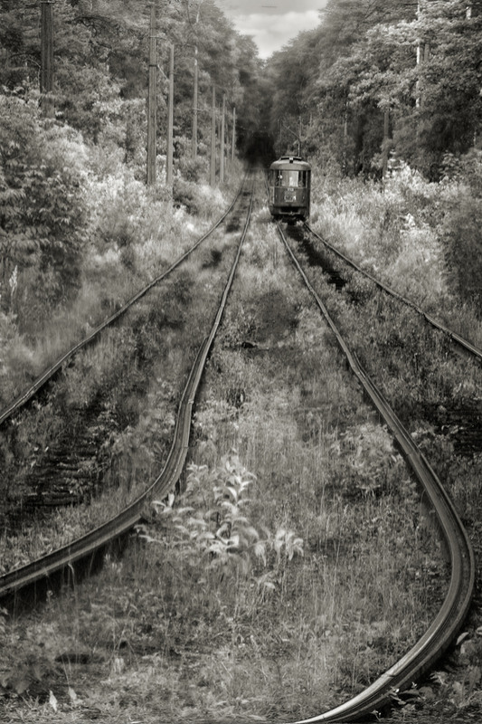 Фотографія Last Tram / Алексей Куценко / photographers.ua