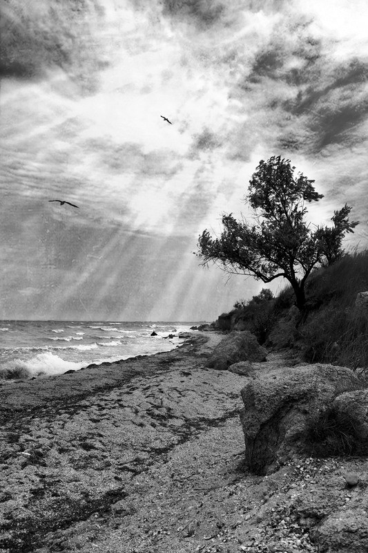 Фотографія морской пейзаж / Elias Walton / photographers.ua