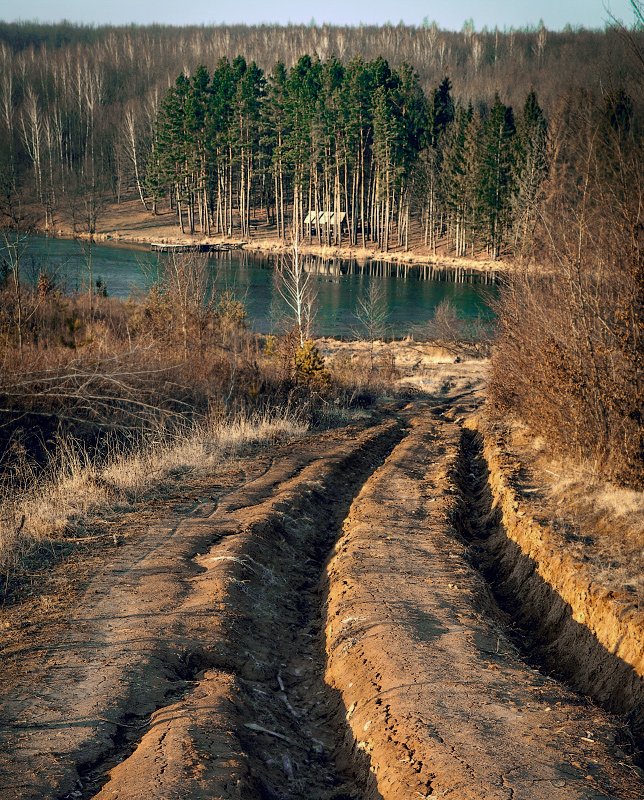 Фотографія Дорога к лесному озеру / Алла Мушинская / photographers.ua