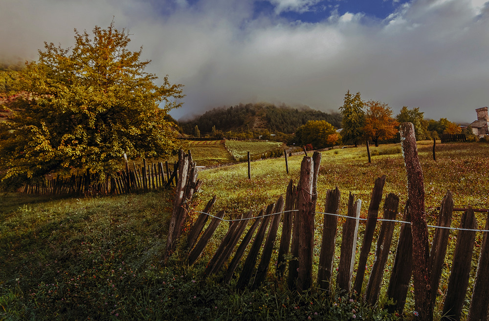 Фотографія За наши забором видно чуже село... / Igor L / photographers.ua