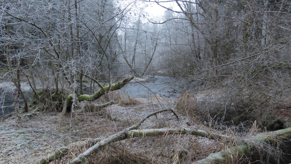 Фотографія Останній подих зими... / Igor Lysenok / photographers.ua