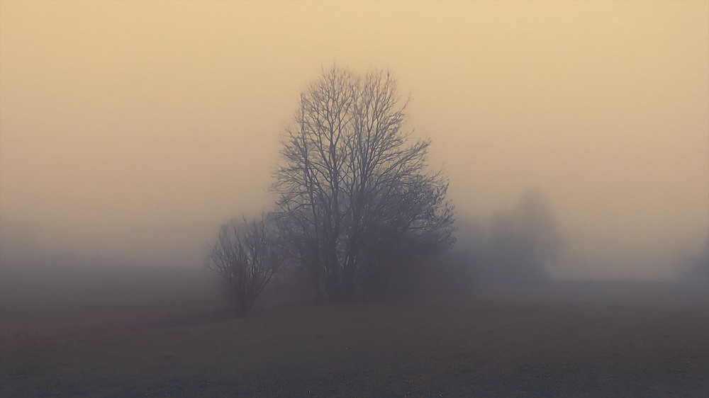 Фотографія Вечерний туман... / Igor Lysenok / photographers.ua