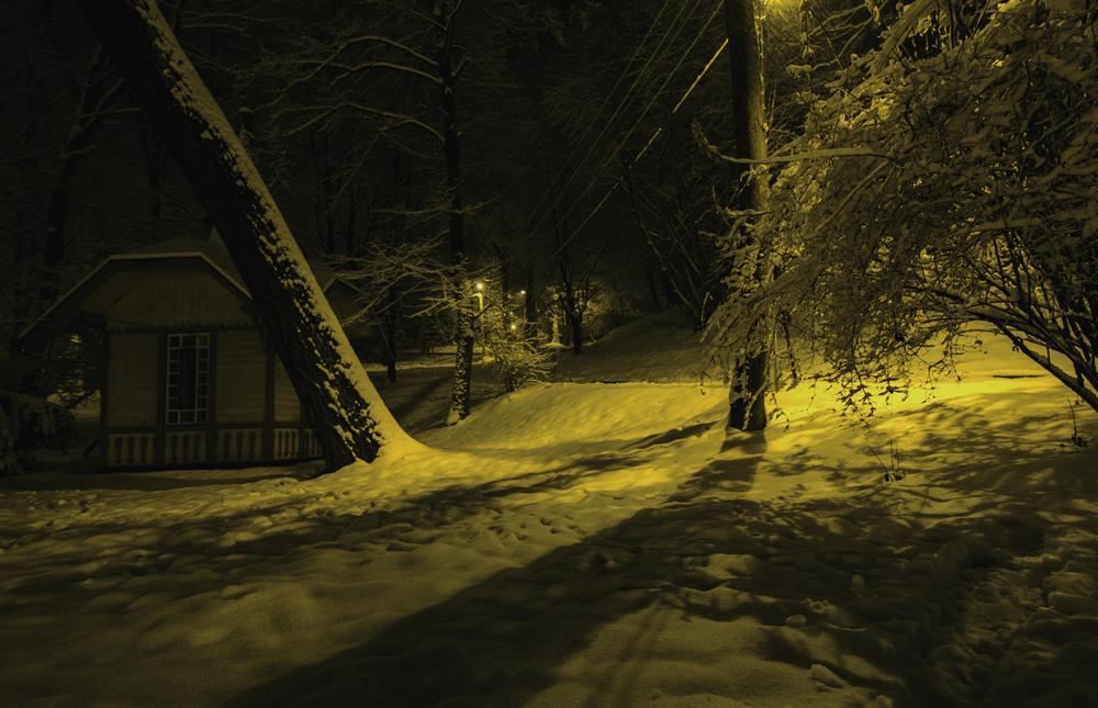 Фотографія Cнежный парк... / Igor Lysenok / photographers.ua