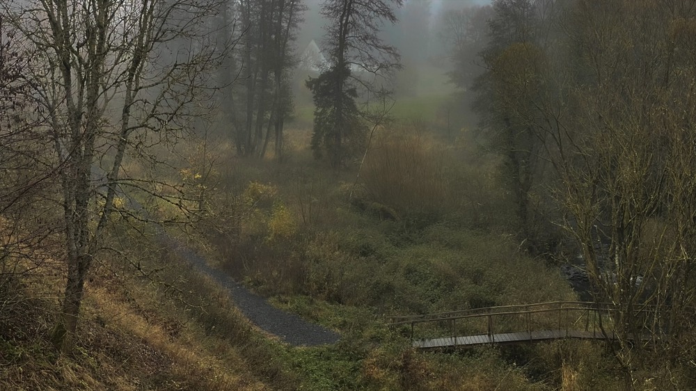 Фотографія Відлига, снігу начебто і не було... / Igor Lysenok / photographers.ua