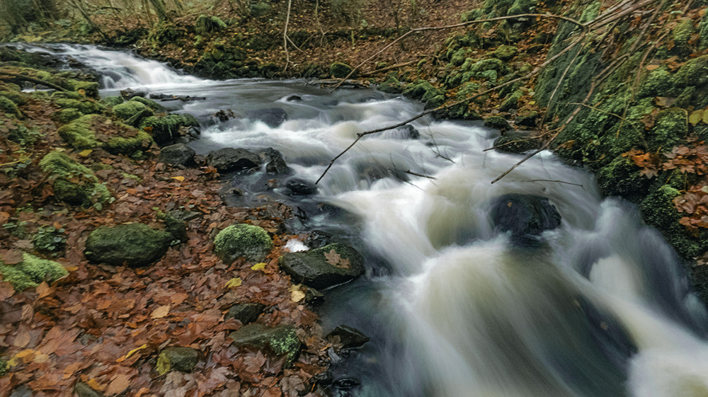 Фотографія Швидка весняна вода Ністера / Igor Lysenok / photographers.ua