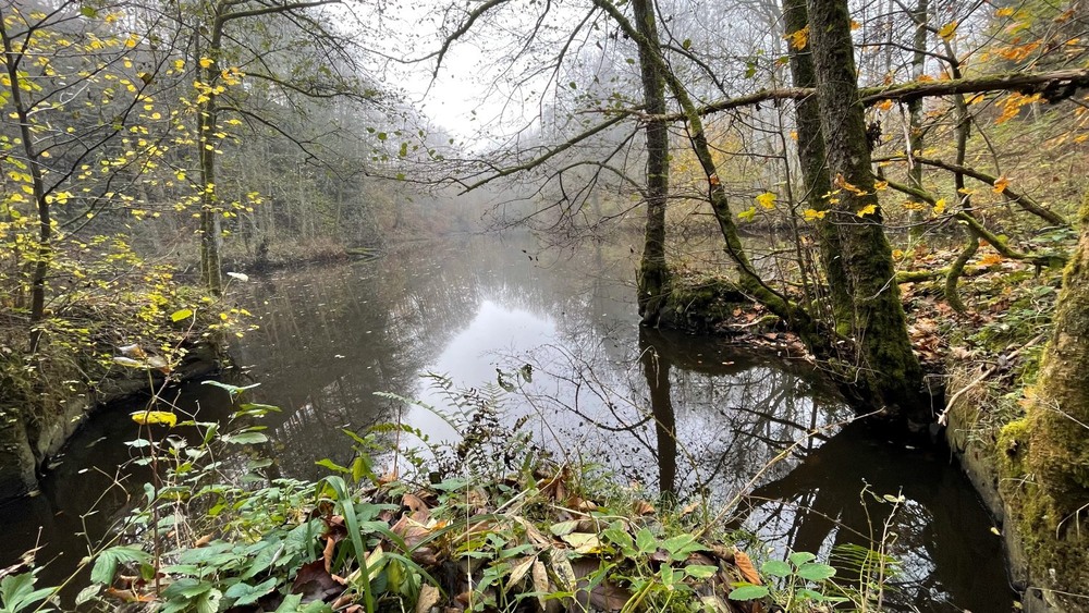 Фотографія Похмурий день на кам'яному озері. / Igor Lysenok / photographers.ua