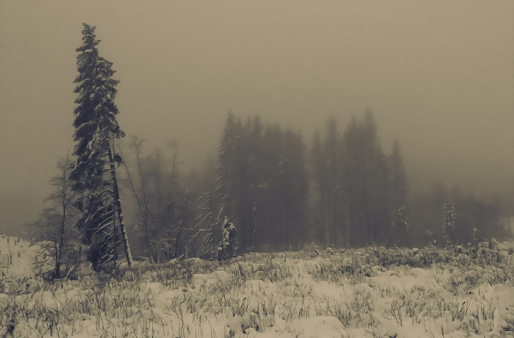 Фотографія ...На долину туман упав. / Igor Lysenok / photographers.ua