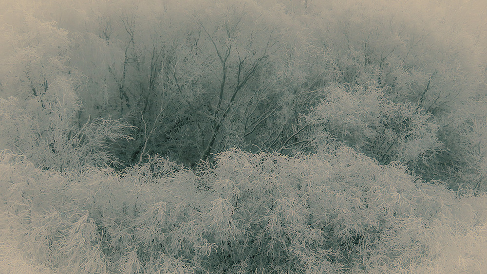 Фотографія Новорічна подорож... / Igor Lysenok / photographers.ua