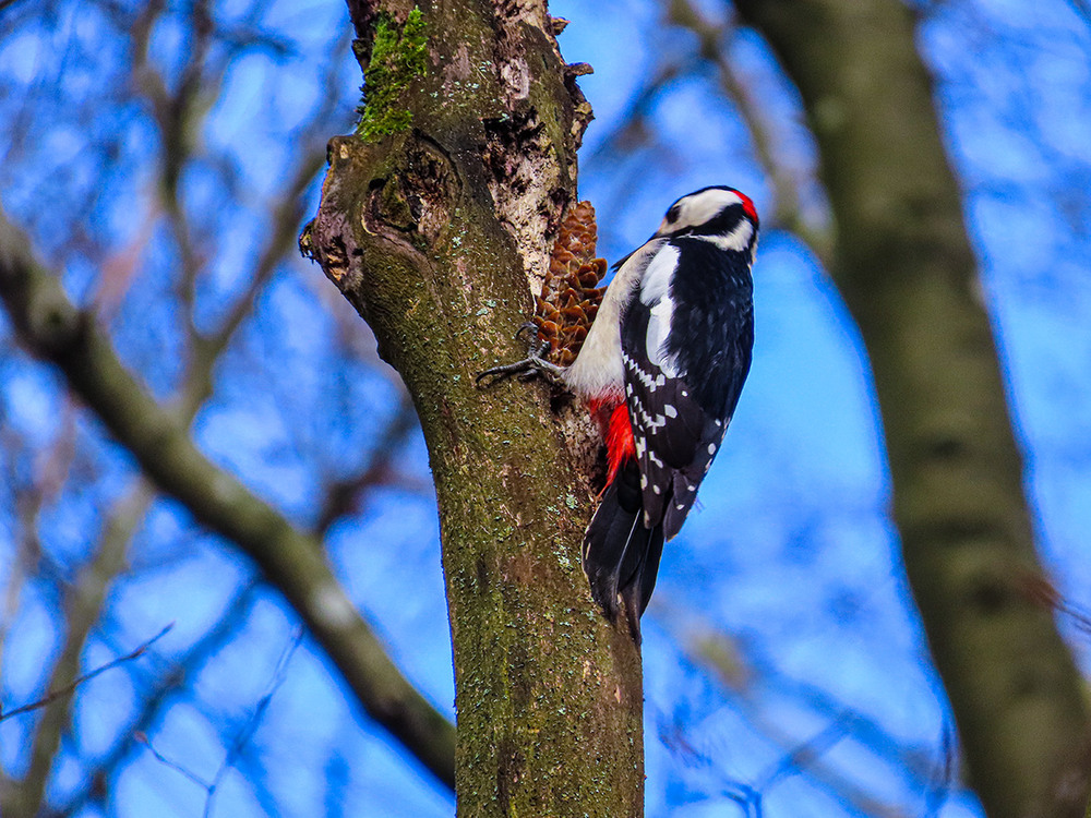 Фотографія "Столярні вироби на замовлення" / Igor Lysenok / photographers.ua