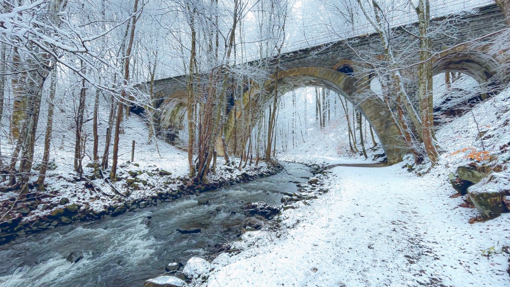 Фотографія **₴** / Igor Lysenok / photographers.ua