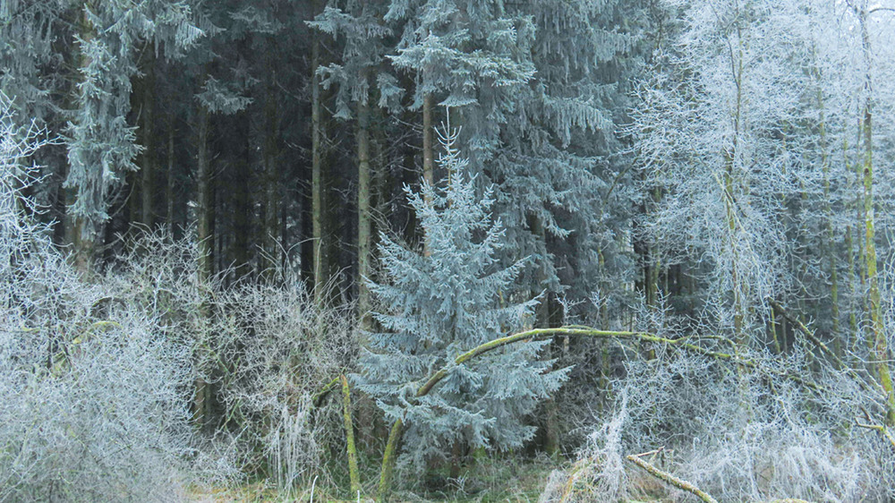 Фотографія No comments / Igor Lysenok / photographers.ua