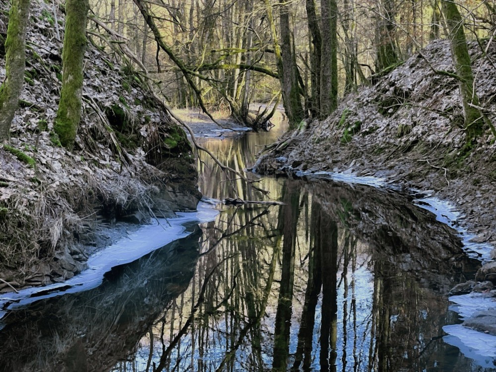 Фотографія Зеркало реки... / Igor Lysenok / photographers.ua