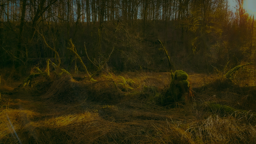 Фотографія ...Все пройдет. / Igor Lysenok / photographers.ua