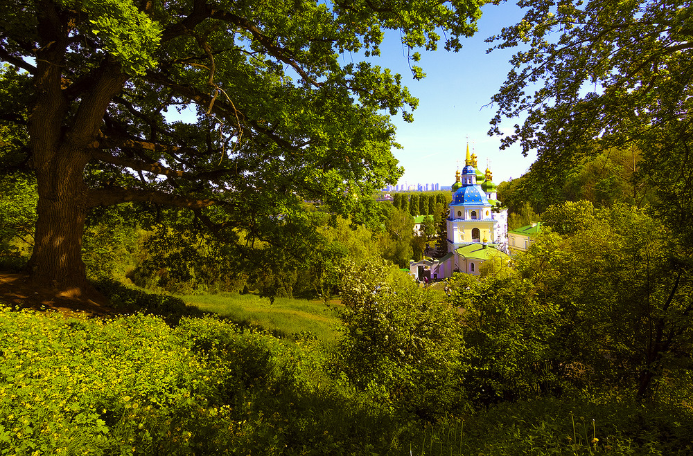 Фотографія Выдубичский монастырь / Igor Lysenok / photographers.ua