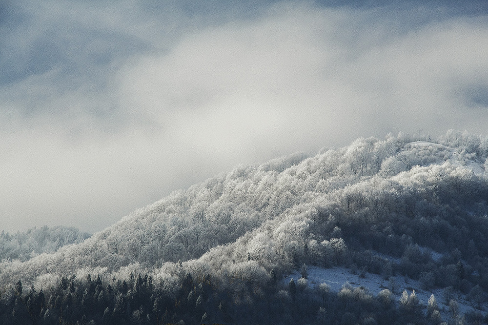 Фотографія Белая зима в Карпатах / Igor Lysenok / photographers.ua