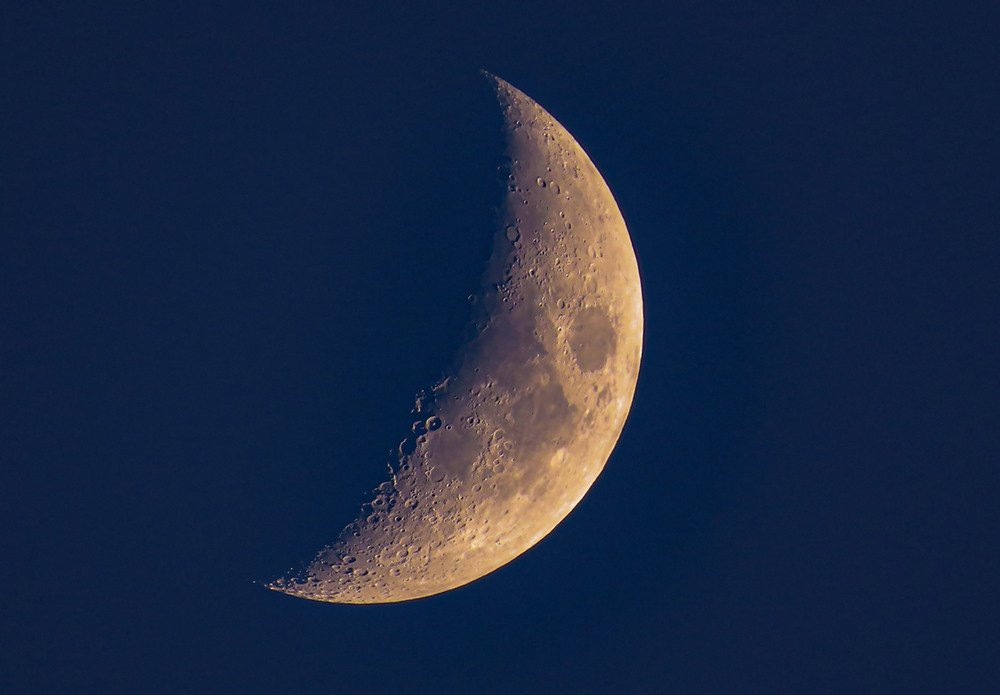 Фотографія Повертався сьогодні з лісу впіймав Місяць в об'єктив / Igor Lysenok / photographers.ua