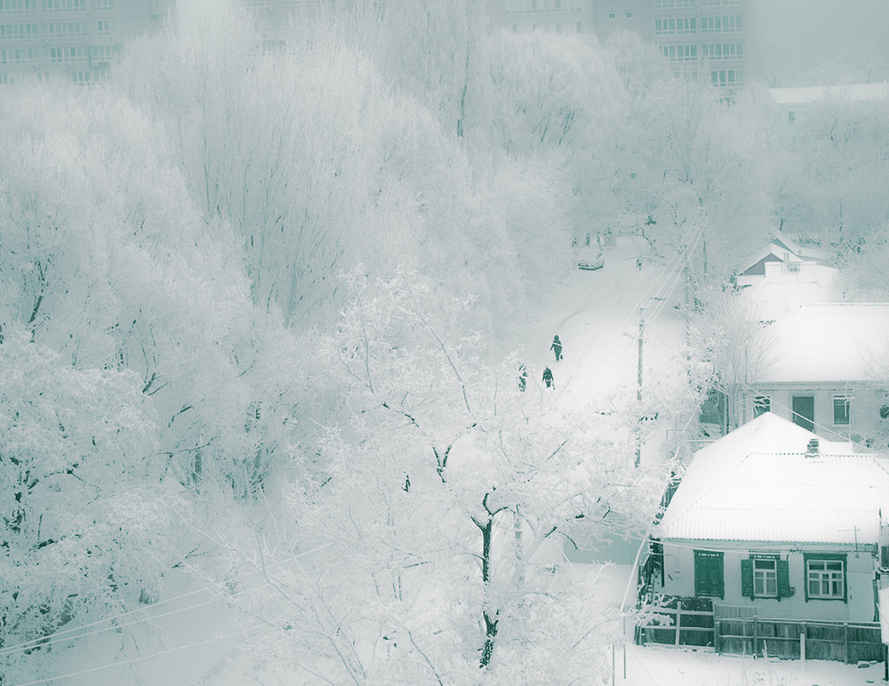 Фотографія Белая зима / Igor Lysenok / photographers.ua