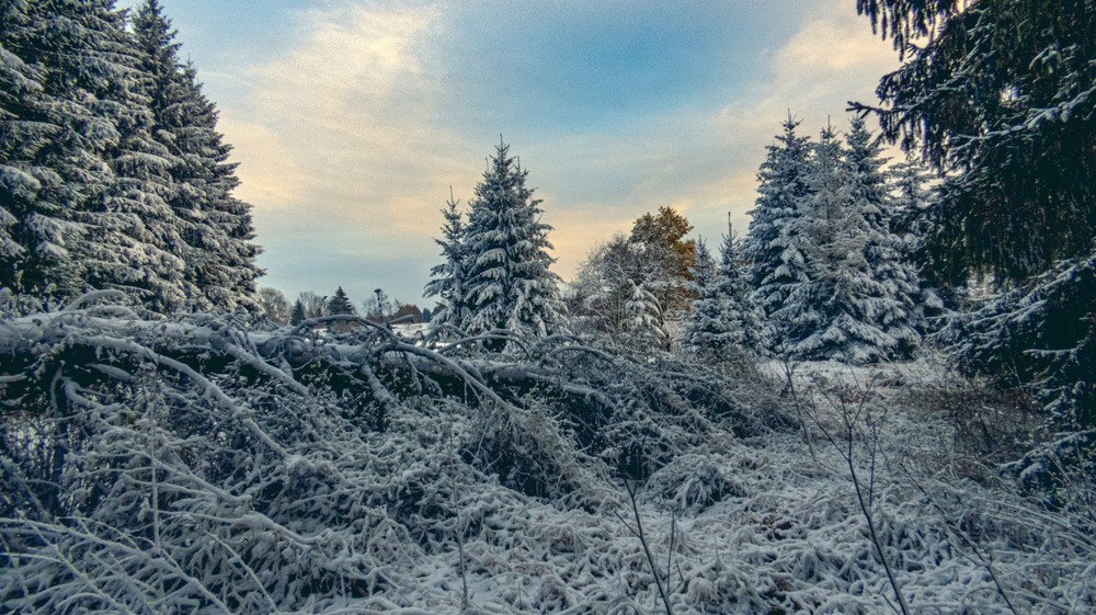 Фотографія Вечірня... / Igor Lysenok / photographers.ua