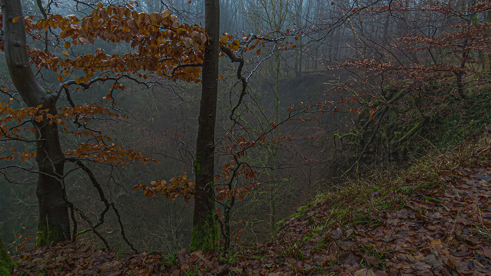 Фотографія Туманный вечер над пропастью... / Igor Lysenok / photographers.ua