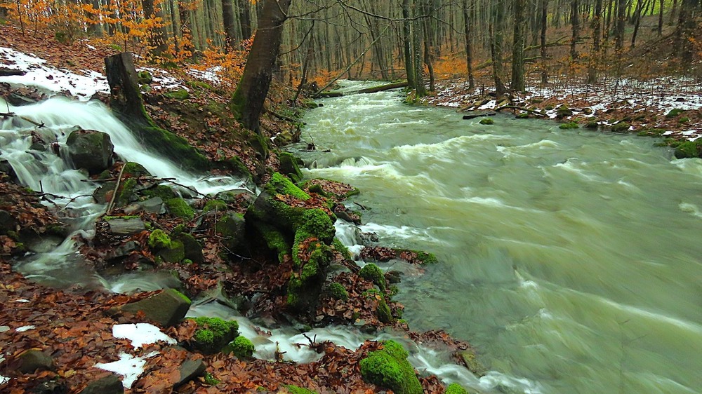 Фотографія Стрімки потоки... / Igor Lysenok / photographers.ua