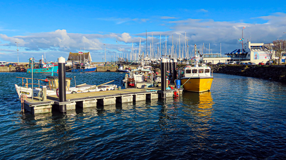 Фотографія Yellow Submarine / Igor Lysenok / photographers.ua