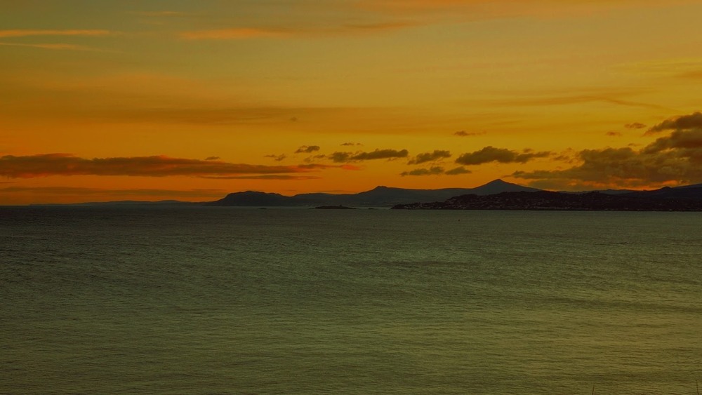 Фотографія Irish whiskey / Igor Lysenok / photographers.ua