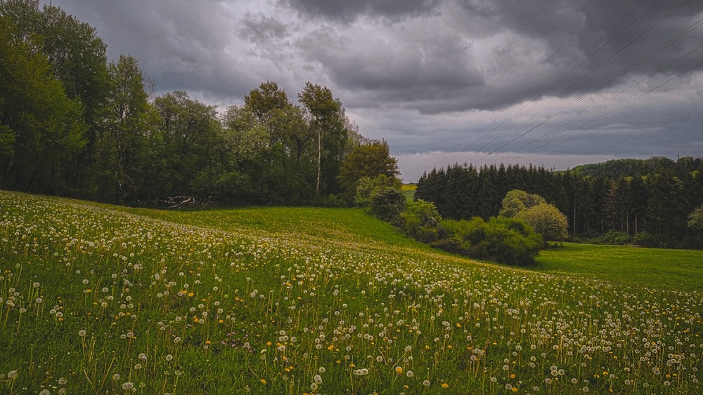 Фотографія Складнощі місцевого рельєфу... / Igor Lysenok / photographers.ua